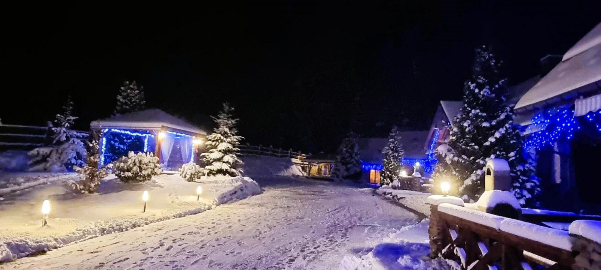 Osrodek Wczasowy Na Borach Villa Korbielow Bagian luar foto